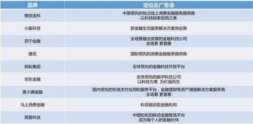 消費金融公司品牌戰(zhàn)略升級 聚焦金融信息服務的價值重塑與生態(tài)構建